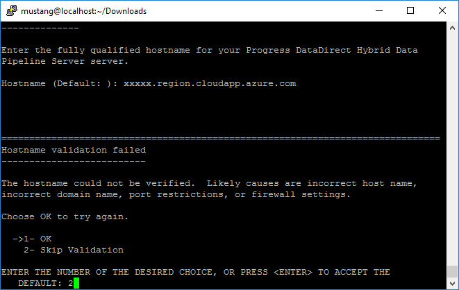 hostname validation hostname validation